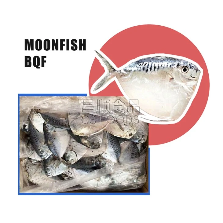 A Frozen Moonfish